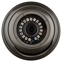 GV-016-AHD-E-DOS13-20 gray 4189 AHD камера Green Vision