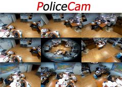 PC-369IP PoliceCam панорамная IP камера Рыбий Глаз